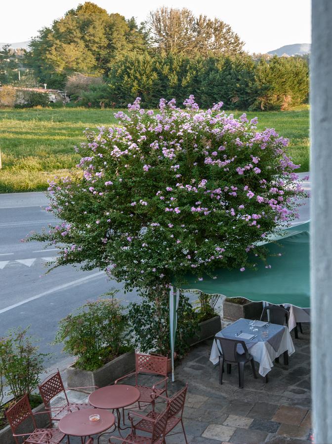 Tuscan Sun Holiday Apartments Lucca Dış mekan fotoğraf