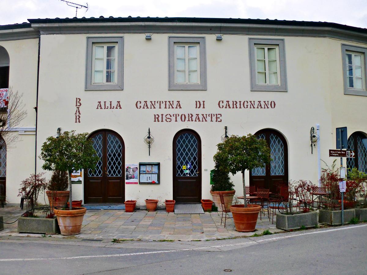 Tuscan Sun Holiday Apartments Lucca Dış mekan fotoğraf